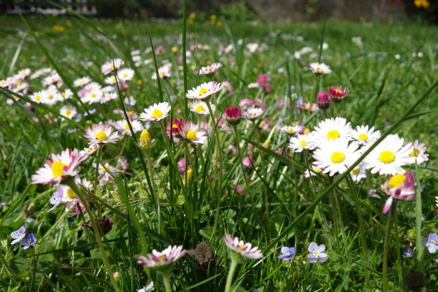 WIR FRAUEN in Jenbach