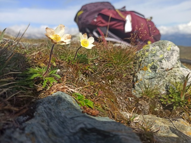 Berg & Bibel - Rucksack auf dem Rücken und Glaubensfiguren im Kopf