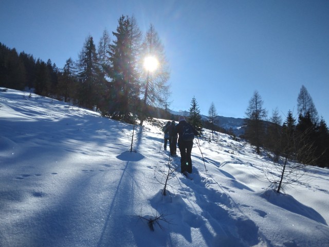 Stille (Schritte) im Schnee