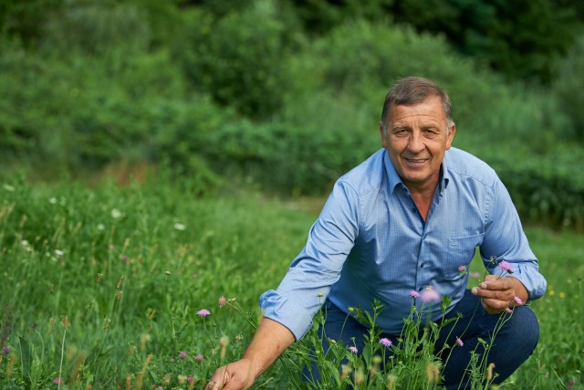 Kräuter und Pflanzen als Alternative - Gesundsein und nicht Krankheiten behandeln