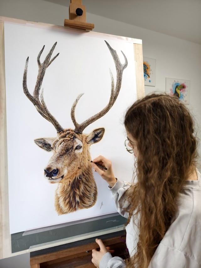 Kunst in Kürze mit Sarah Blaßnig