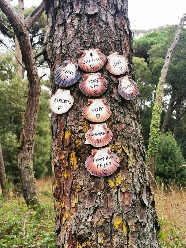 Persönliche Pilgererfahrungen am Portugiesischen Jakobsweg