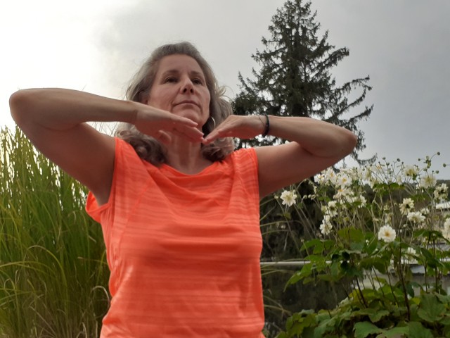 Qigong für Anfänger:innen und leicht Fortgeschrittene - 7 Termine