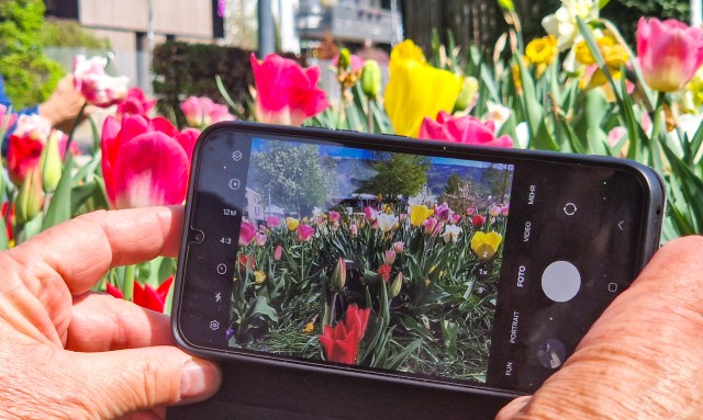 Schluss mit knipsen - Fotografieren mit dem Smartphone