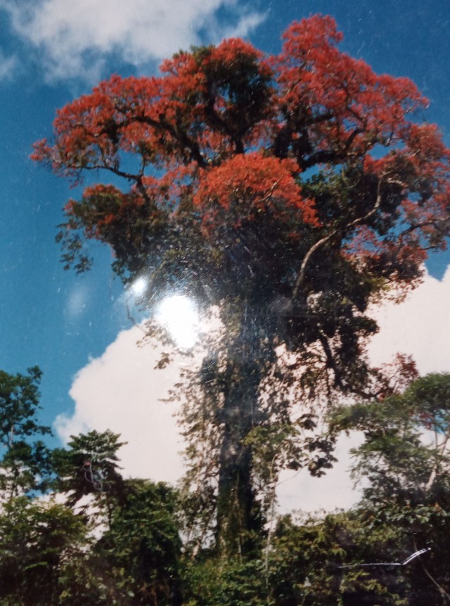 Von Bannberg in den Urwald