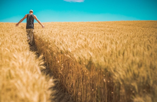 Hunger im Überfluss – globale Ernährungsgerechtigkeit?