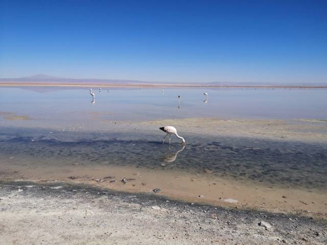 Von der Imperialen Lebensweise zum guten Leben für alle