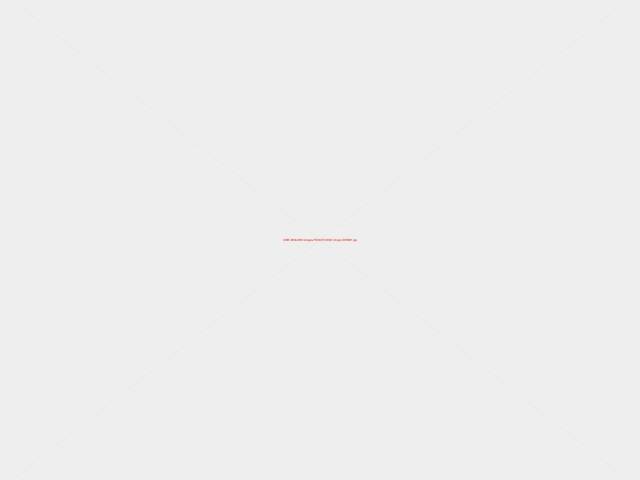 8881.jpg