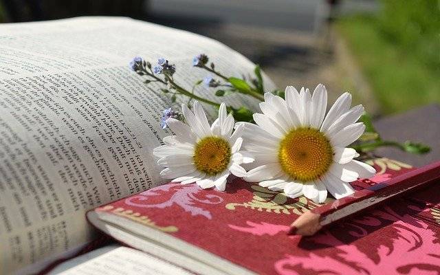 Gottes Wort Raum geben