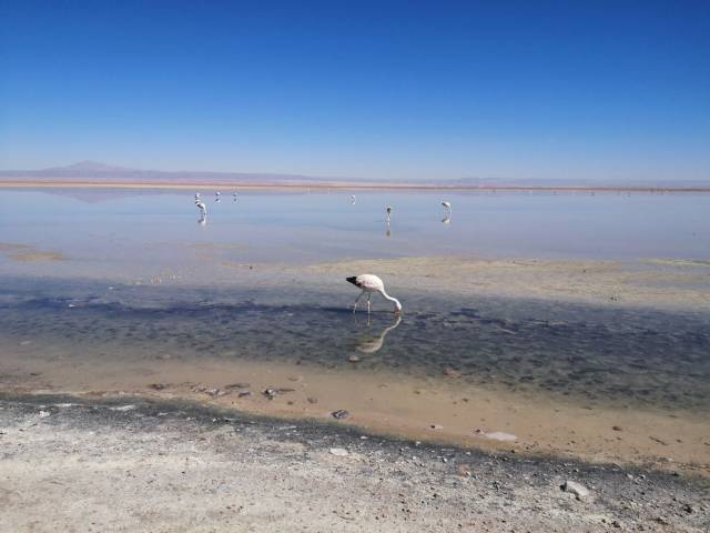 Von der Imperialen Lebensweise zum guten Leben für alle (Vortrag und Diskussion)